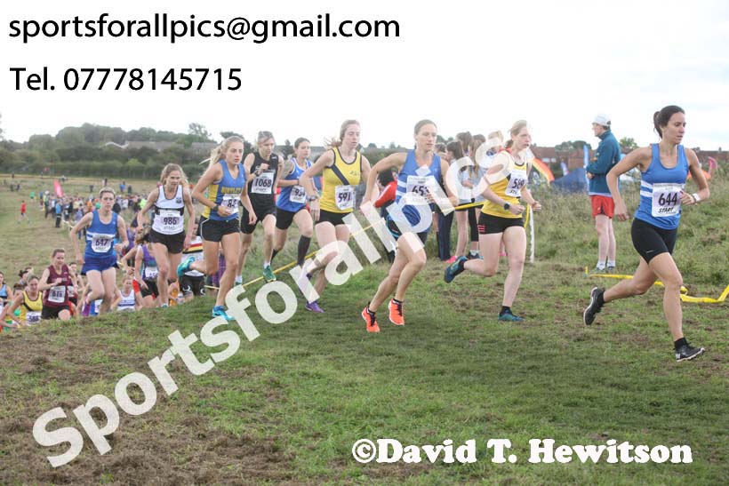 Senior womens Start Fitness North Eastern Harriers League, Wrekenton, Gateshead. Photo:  David T. Hewitson/Sports for All Pics